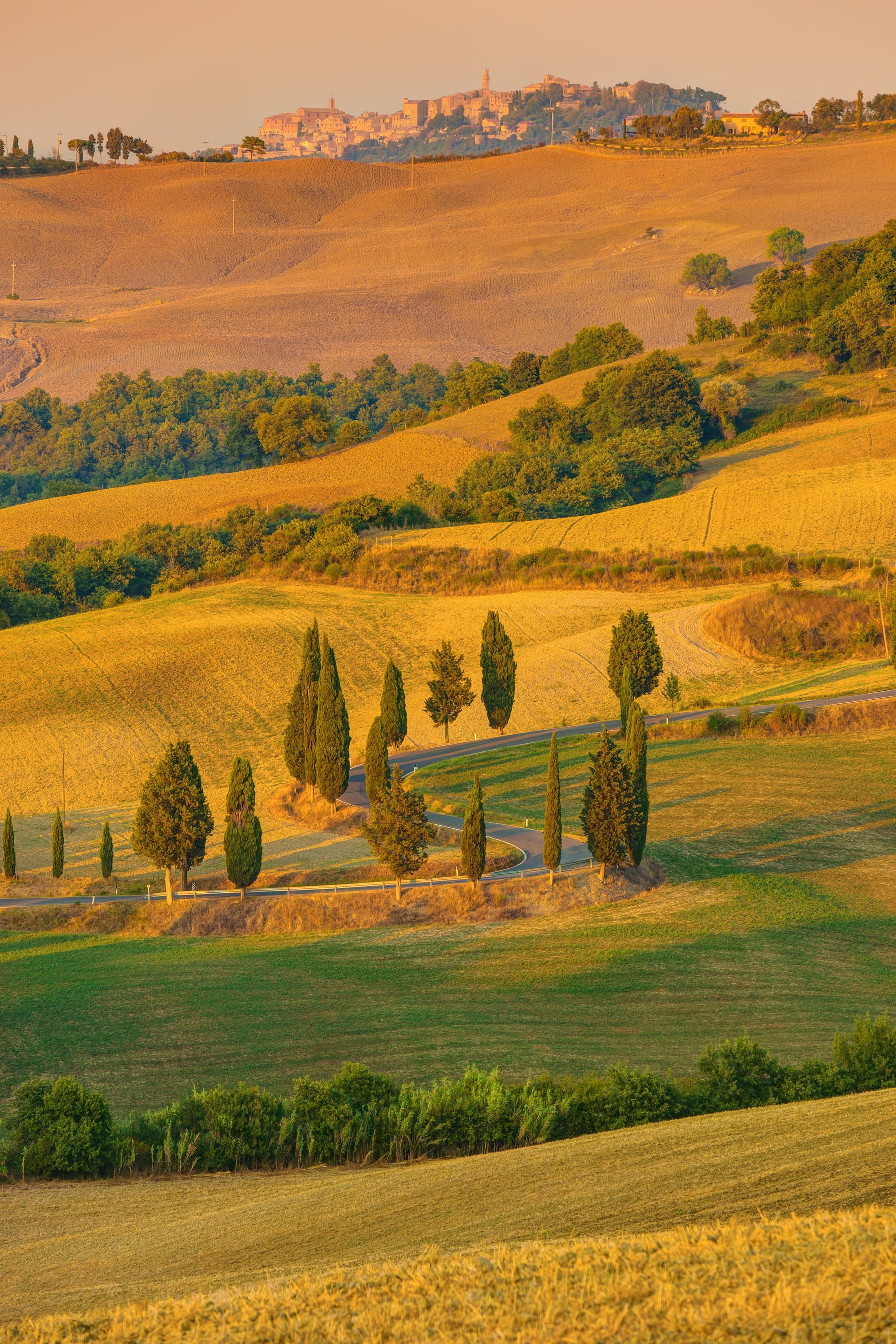 La strada dei cipressi tra le colline dorate della Val d’Orcia